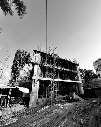 Natulius laguna - Surat